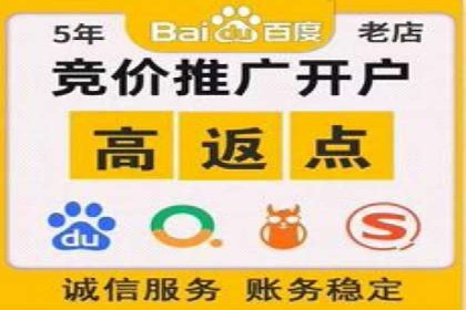 案例研究：关键词竞价排名实战经验